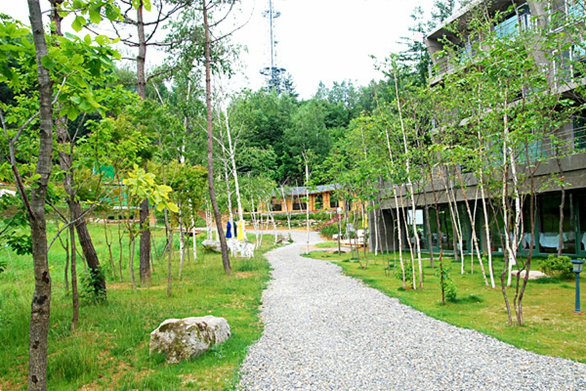 Hotel Pyeongchang The Sky Forest Exterior foto