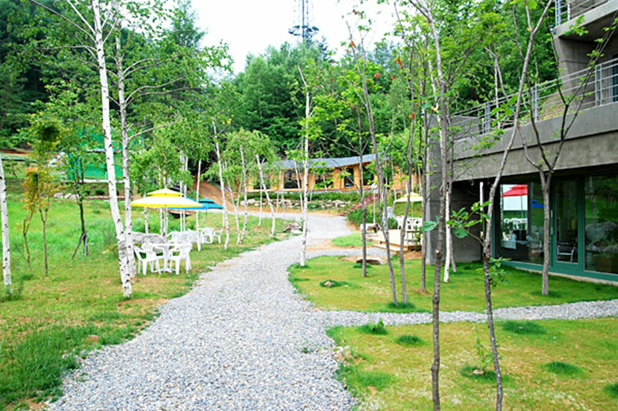 Hotel Pyeongchang The Sky Forest Exterior foto